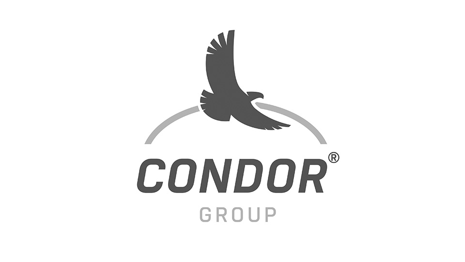10_CONDOR-GROUP-2